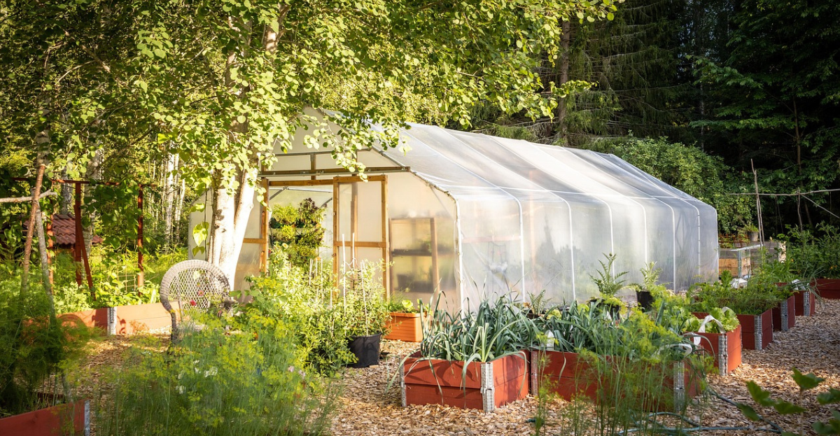 Summer greenhouse